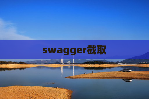 swagger截取