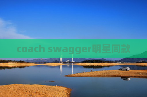 coach swagger明星同款